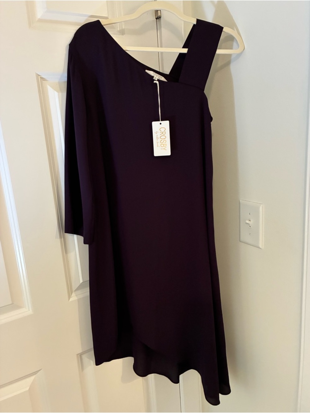 NEW! CROSBY by Mollie Burch Nella Dress in Aubergine 8